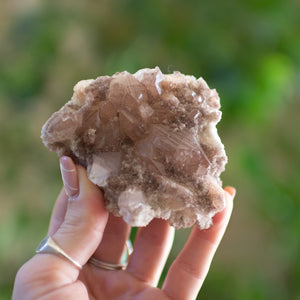 Brown Apophyllite Cluster