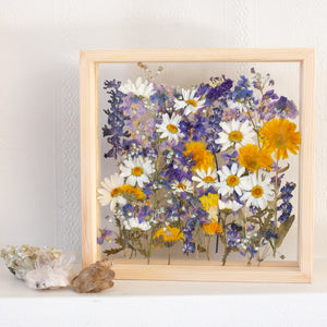 Daisy Framed Florals
