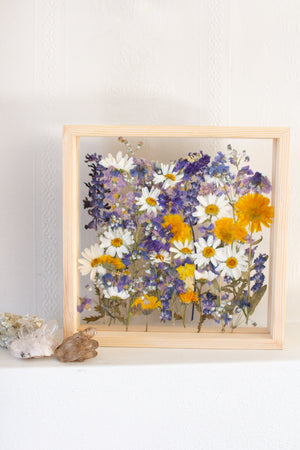 Daisy Framed Florals