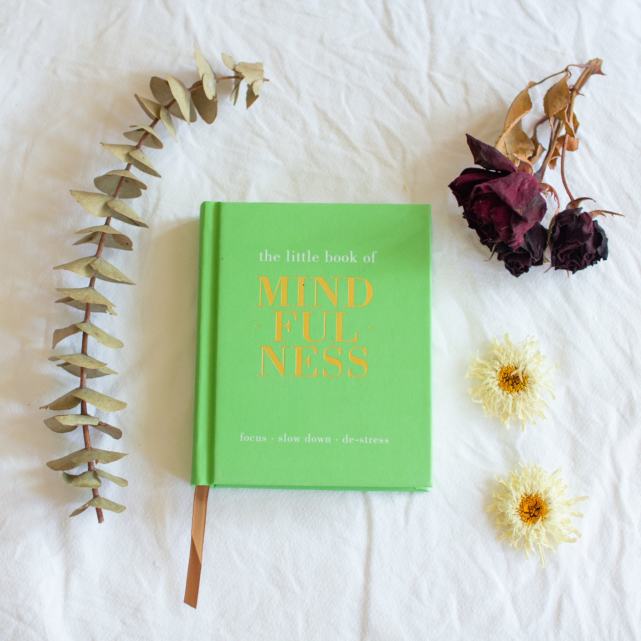 The Little Book of Mindfulness | BarryandMe