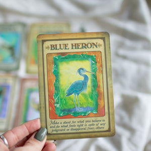 Messages from Your Animal Spirit Guides Oracle Cards
